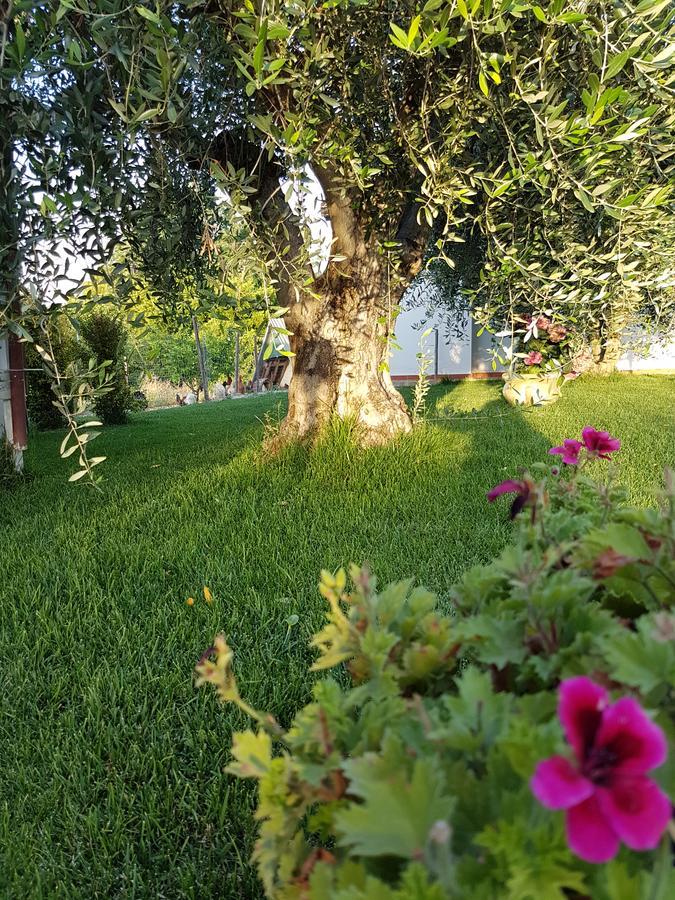 Ferienwohnung Agriturismo Macchia Di Riso Nova Siri Marina Exterior foto